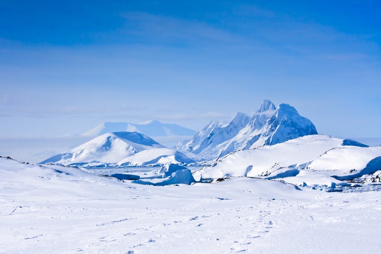 antarctic peninsula cruises