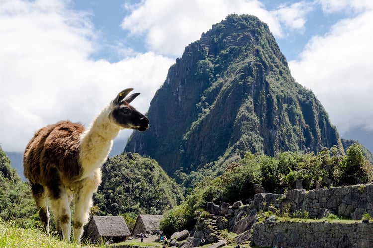 See Machu Picchu in South america one of or top picks for 2026 cruises