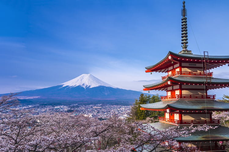  mount fuji in cherry blossom in japan