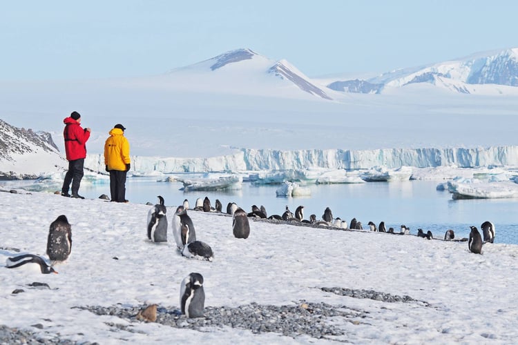 Antarctica expedition cruising guide - Going ashore with Hapag-Lloyd
