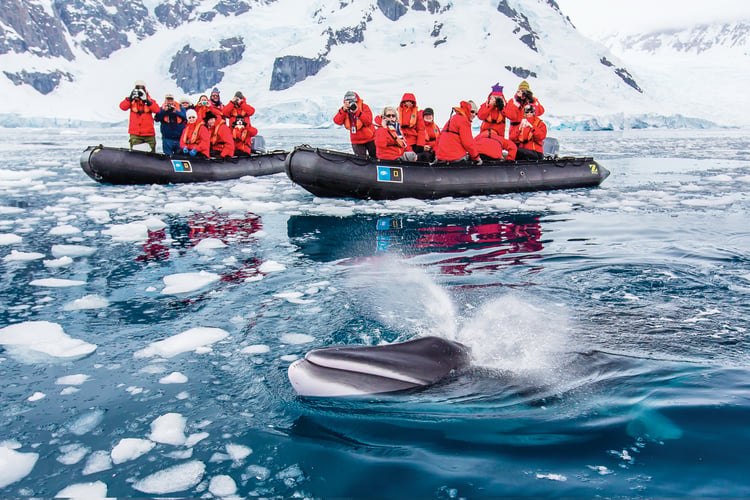 Expedition cruising - Lindblad in Antarctica