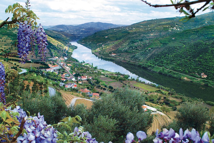 The beautiful Douro river - read our Douro river cruise guide to find out more