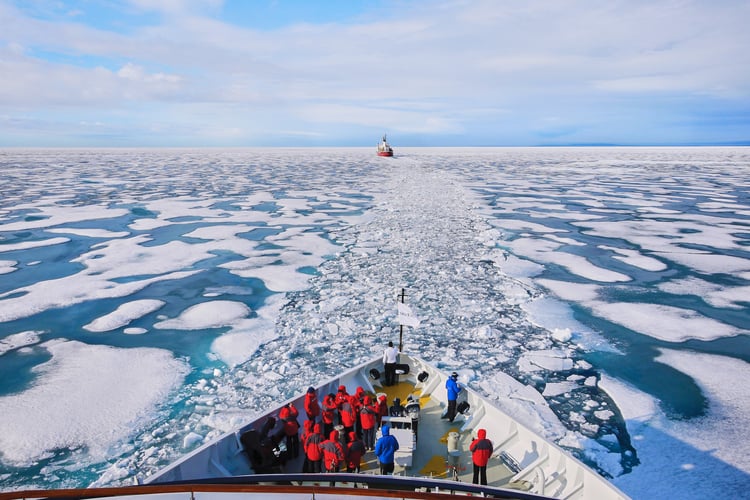 Cruise ship vs. Expedition ship: What's the difference?