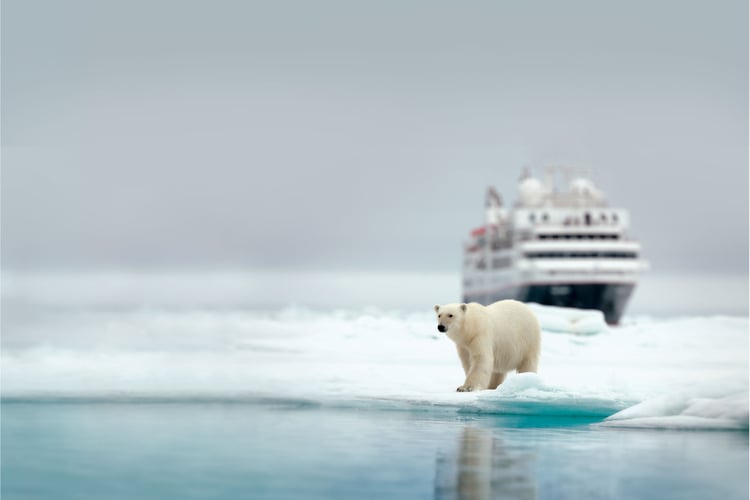 Svalbard & The Arctic expedition cruise guide - Silver Explorer