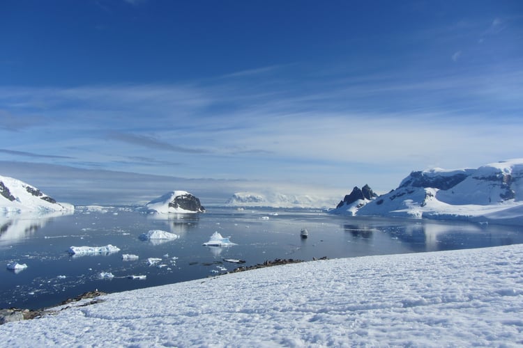 Silver Explorer in Antarctica