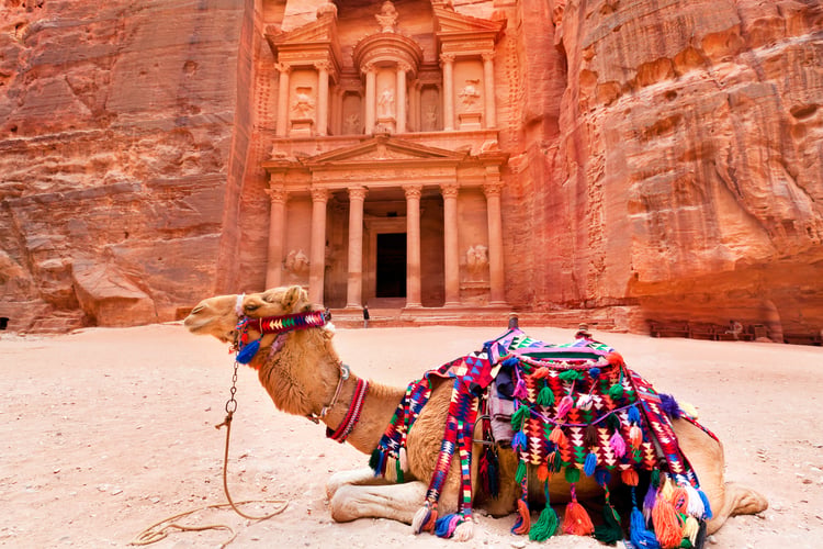 Camel outside Petra, Jordan