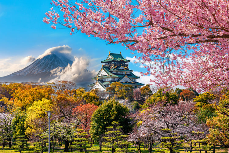 Osaka Castle and cherry blossom with mount Fuji in Japan
