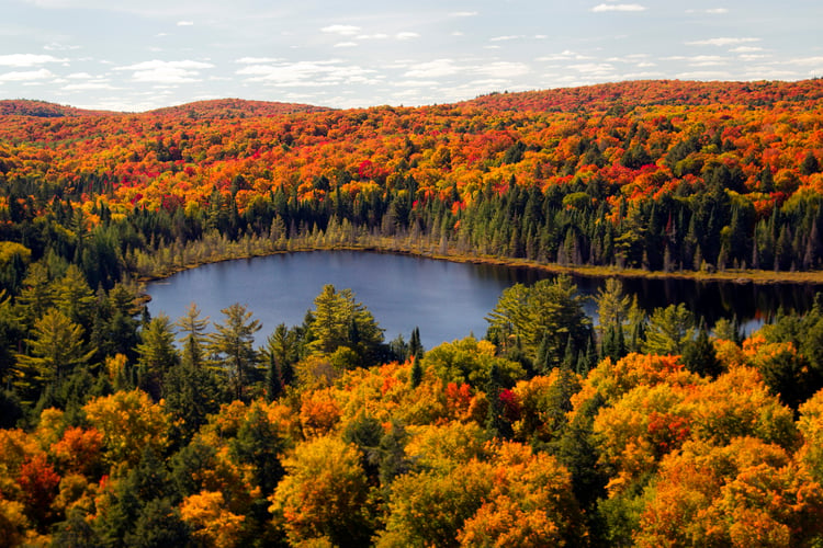 The best Canada cruises, including incredible fall colours