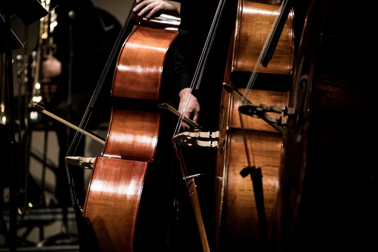 Enjoy exclusive performances on the best classical music cruises of 2020
