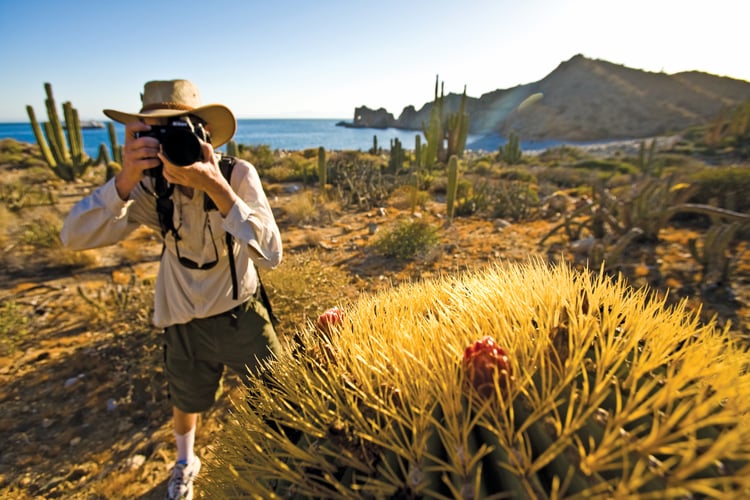 Expedition cruiser with camera, a key part of your Sea of Cortez packing list