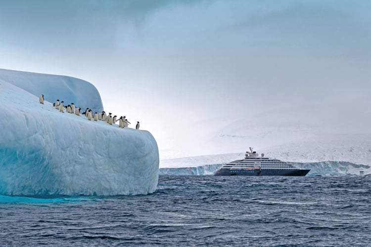 Scenic Eclipse, one of the best expedition cruise ships to choose in Antarctica