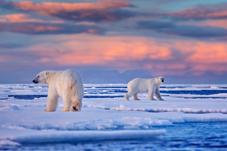 best-arctic-cruises
