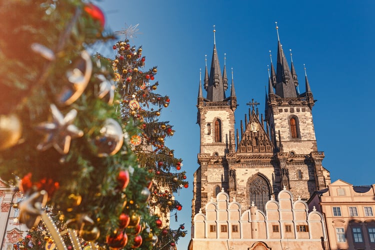 Christmas Tree in Prague, Czech Republic