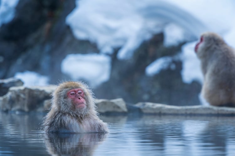 best-unusual-asia-cruises