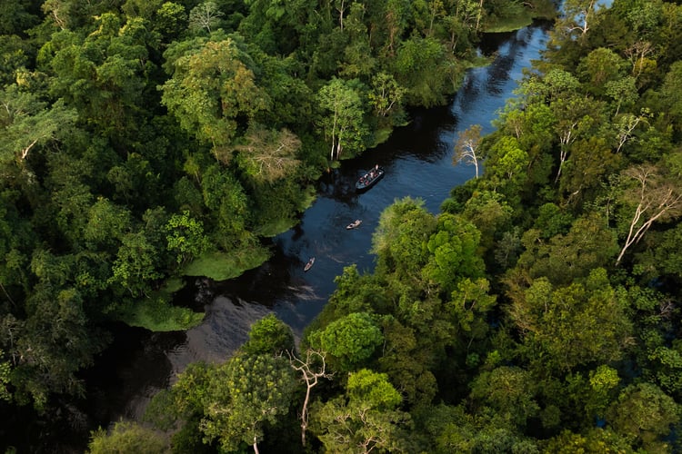 Skiff tour on Aqua Expeditions' Amazon River cruise