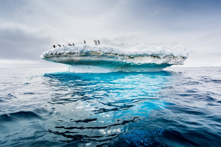 Adelle penguin colony on the Drake Passage crossing to Antarctica