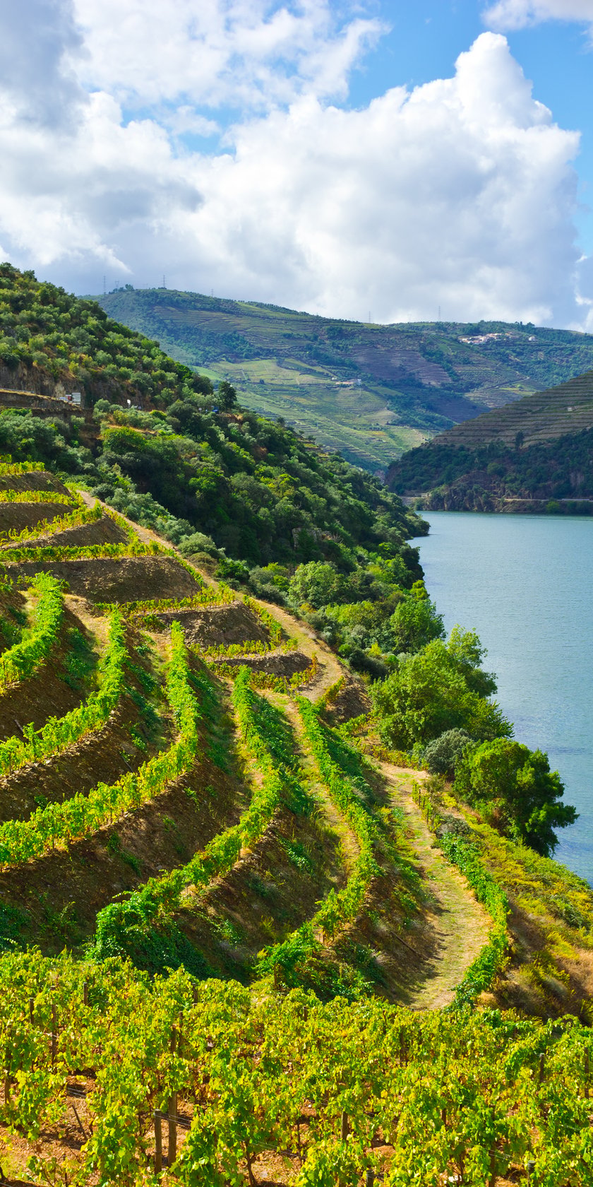douro_river_valley