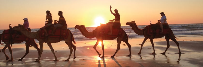 Camel train on Cable Beach, Broome