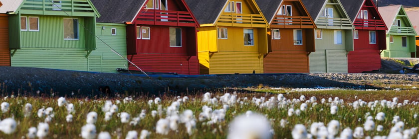 Flowers and colourful houses in Longyearbyen