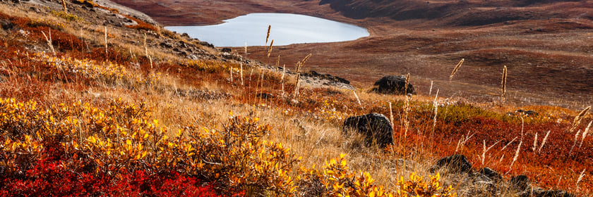 Autumn landscape in Kangerlussuaq, Greenland