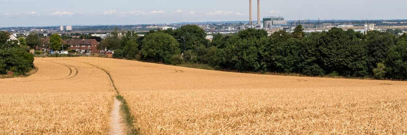 Fields near Tilbury, UK