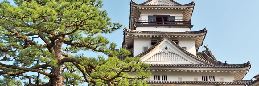 Kochi Castle, Japan