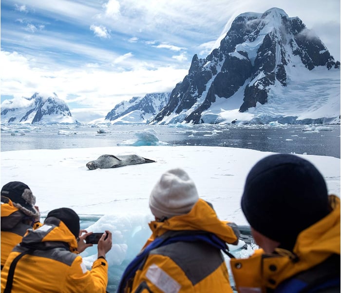 Quark Expeditions' guests observing a leopard seal in Antarctica