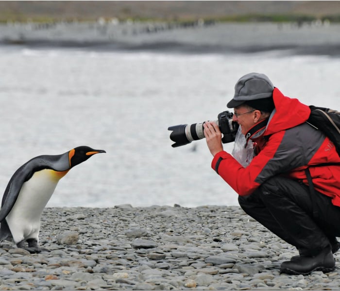 Silversea guest photographing a penguin in Antarctica.