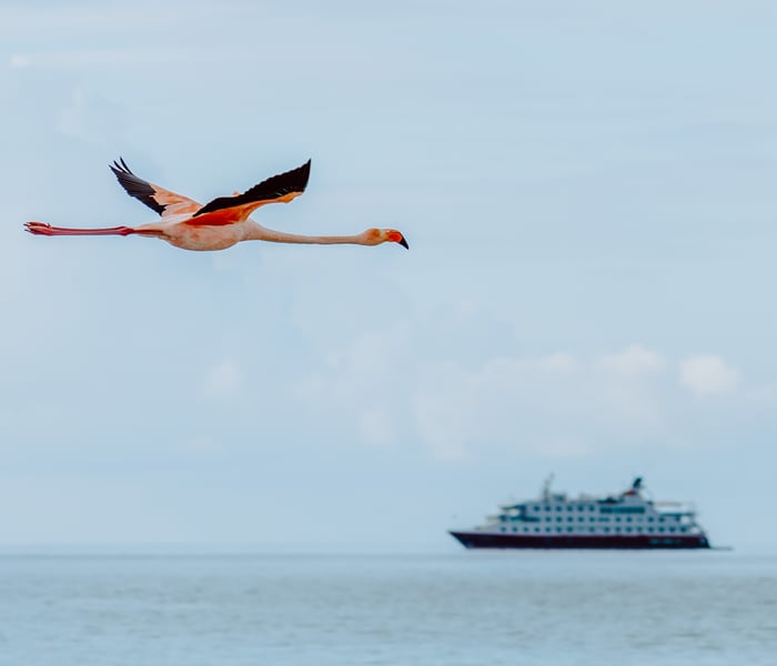 Hurtigruten's MS Santa Cruz II in the Galapagos Islands