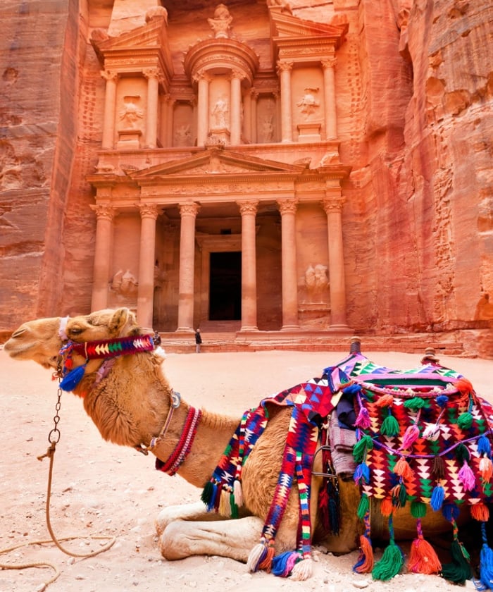 View of  camel in Petra, Jordan, which you can visit on a luxury Arabia & Red Sea cruise