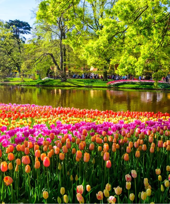 Keukenhof Gardens in the Netherlands